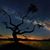 Kimberly Reichert Rammel's profile image