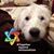 Pamela Gentry's profile image