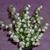 Nancy Martin's profile image