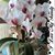 Julie Alberda's profile image