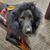 Yochanah Grace Best's profile image