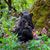 Christy Fletcher Rcr's profile image