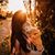 Hannah Herbeck's profile image