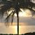 Delores Macias-Rader's profile image