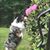 Aniko Geladze's profile image