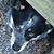 Jan Lougher's profile image