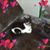 Connie Whalen's profile image