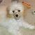 Jeanne Marie Whipple's profile image