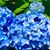 Katy Lilyestrom Kehoe's profile image