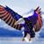Dennis Wargo's profile image