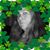 Barbara Templin's profile image
