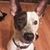 Judy Ruhl Stewart's profile image