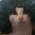 Natalie Noles's profile image