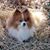 Mark Swain's profile image