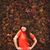 Svitlana Boley's profile image