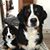 Jill Bragdon's profile image