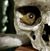 Stephen Walker's profile image