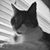 Lisa Brookhart's profile image