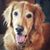 Damaris Cruz's profile image