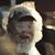 Derek Tompkins's profile image