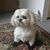 Mabel Medina's profile image