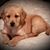 Kathy Butler Fabiani's profile image
