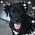 Pam Vestal's profile image