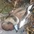 Eric Hoxworth's profile image