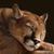 Scougs Duffy's profile image