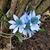 Donna Renee Parrish's profile image