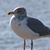 Kristin Humphreys's profile image