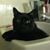 Trish Hass's profile image