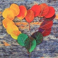 Rachel Alvarez's profile image