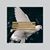 Ronnie Williams's profile image
