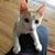 Kathryn Higley's profile image