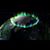 Theresa Armel's profile image