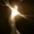 Mara Spitzer's profile image