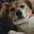 Susan Peterman Mann's profile image