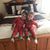 Denise C. Levesque's profile image