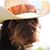 Cade Richgels's profile image
