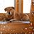 Jeana Bailey Desilets's profile image