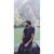 Gent Morina's profile image