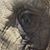 Dee Perzan's profile image