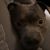 Faye Soforeal Clark's profile image