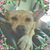 Kimberly Spears's profile image