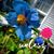 Karen Mouton's profile image