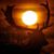 Glenn Pfleuger's profile image