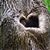 Elizabeth Cox's profile image