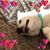 Cheryl Bledsoe's profile image
