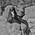 Mike Hassan's profile image